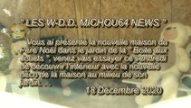 LES W-D.D. MICHOU64 NEWS - 18 DÉCEMBRE 2020 - PAU - NOËL 2020 - ESSAYONS DE DÉCOUVRIR L'INTÉRIEUR  DE LA NOUVELLE MAISON DU PÈRE NOËL