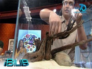 iBilib: Aquascaping 101 with Michael Steven Yap