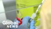 Coronavirus: Global solidarity needed to get vaccines to poorer nations