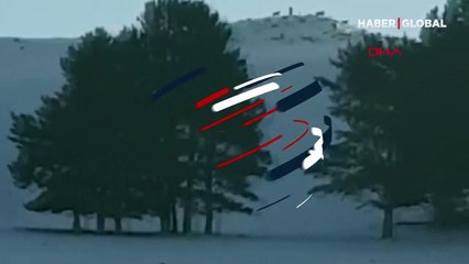 Antrenman sırasında kurt sürüsüne denk geldiler