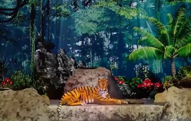 Fransa bu gösteriyi konuşuyor