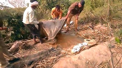 आबकारी महकमे का जिले भर में अलर्ट, गठित टीमों की छापेमारी अभियान जारी