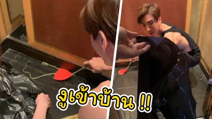 ตู่ ปิยวดี โพสต์คลิป งูเขียว เลื้อยเข้าบ้านระทึกก่อนพิธีวิวาห์