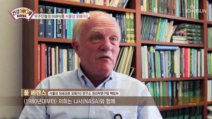 혈관 건강 UP↗ 되는 『식물성 오메가3』 #광고포함