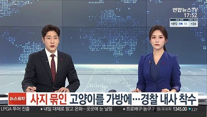 사지 묶인 고양이를 가방에…경찰 내사 착수