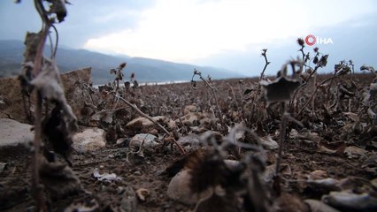 Elazığ'da sular çekildi barajı besleyen koca nehir dereye döndü