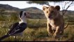 Simba meets Nala Spot & Trailer - THE LION KING (2019)