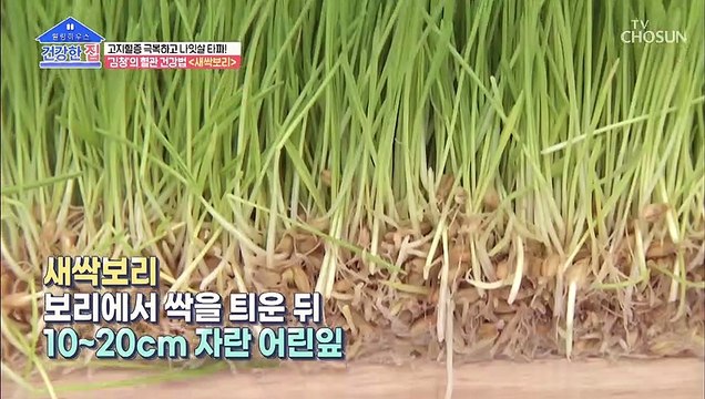 ❛이것❜으로 나잇살 Bye~ 혈관 다이어트 #광고포함