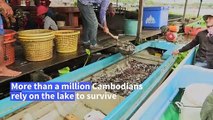 Cambodia's giant life-giving Tonle Sap lake in peril