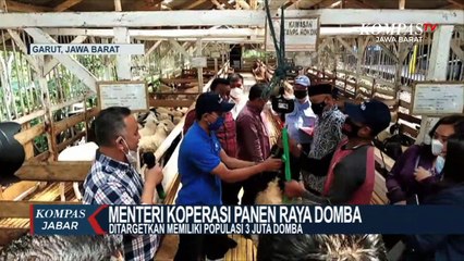 Menkop Panen Raya Domba Garut