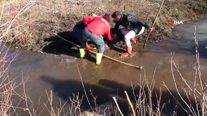 Buzlar eridi, balıkçıların mesaileri başladı