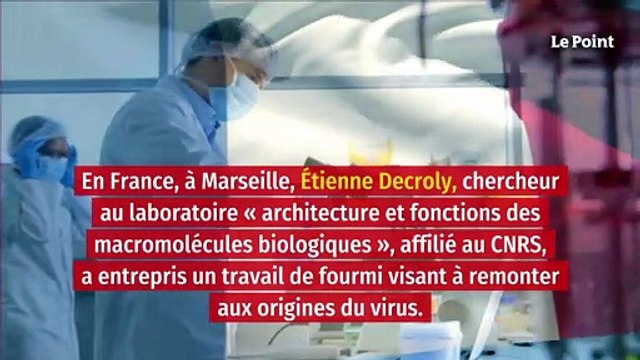 Coronavirus : sur les traces de l'origine du virus