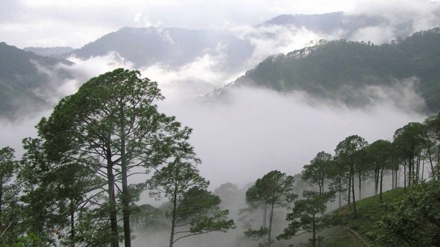 Visakhapatnam : Massively Dropped Temperatures In Visakhapatnam Agency