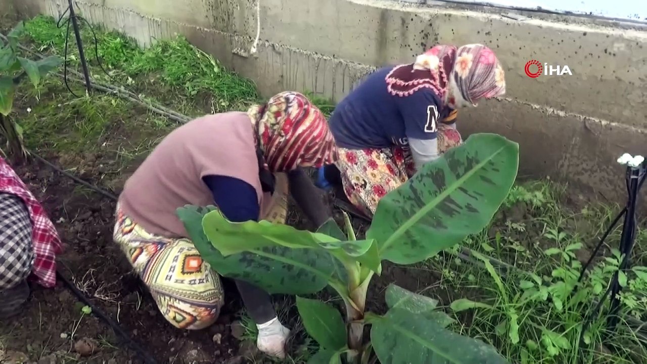 - İşsiz kalan turizm sektörü çalışanlarına tarım sektörü kucak açtı
