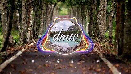 Calvin Harris  - non copyright music - DMW