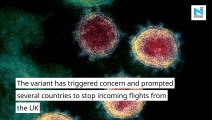 New coronavirus strain: India bans flights from UK; Health Minister says no need to panic