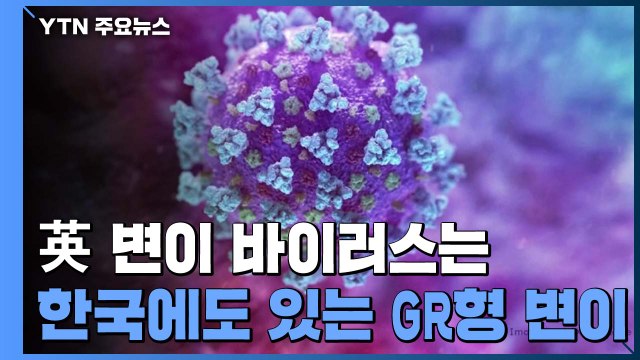 英 변이 바이러스는 한국에도 있는 GR형 변이...전염성 강한 변이 가능성 / YTN