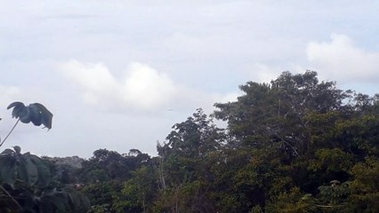 Boeing 777-300ER PT-MUE en approche finale avant d'atterrir à Manaus depuis Guarulhos