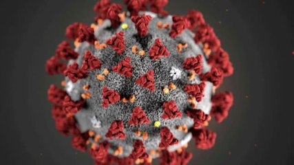 New coronavirus strain emerges in UK: Is India prepared?