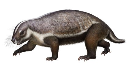 Les scientifiques décrivent une “bête folle” de l’époque des dinosaures qui enfreignait les règles de l'évolution !