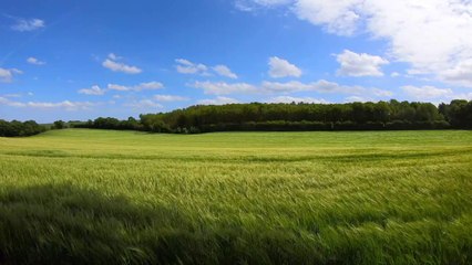 Relaxing Landscape Music for Sleep, Study & Meditation 🧘‍♀️