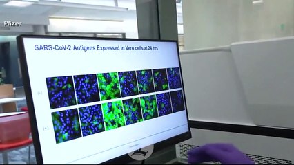 País está en lista para recibir vacunas de Pfizer y Moderna