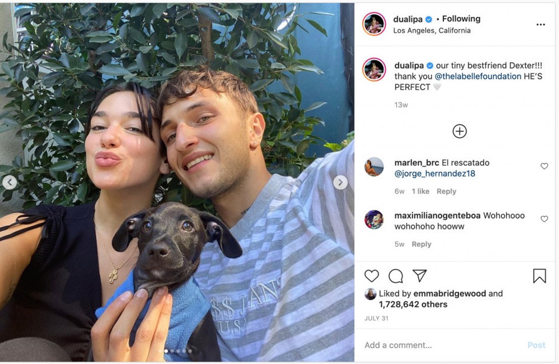 Dua Lipa passera Noël avec Anwar Hadid aux États-Unis