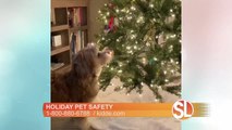 Kidde helps families decorate safely this holiday season