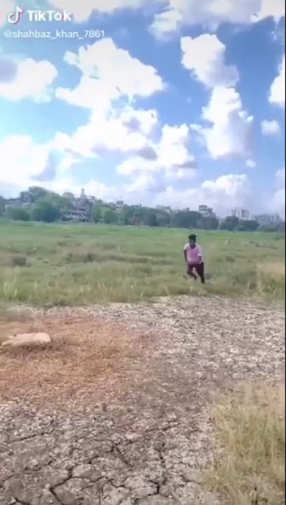 Amazing Tik Tok Stunt Video--Tik Tok Best stunt Musically.Entertainment.