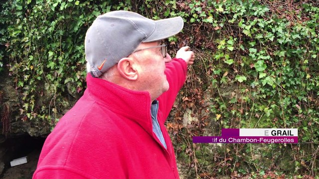 Une grotte découverte à Chambon-Feugerolles, elle servait à abriter les habitants pendant la seconde guerre mondiale