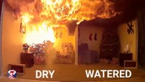 Safety video warns about dry Christmas tree fires