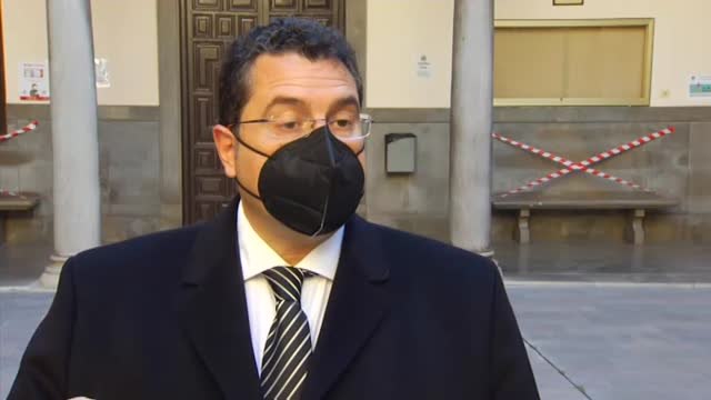 Adiestrados para detectar el coronavirus