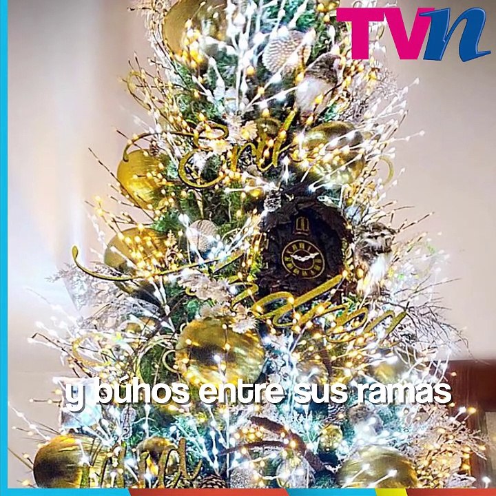 Famosos presumen que la Navidad llegó a su casa