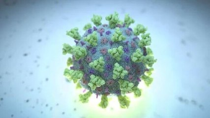 New Covid strain not known to be more dangerous: Dr Vikram Talaulikar