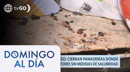 下载视频: Cierran panaderías donde elaboraban panetones sin medidas de salubridad | Domingo Al Día