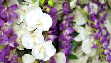 ExceptioNel Events Web Launch Ad