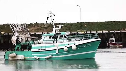 O que se sabe sobre a nova cepa do coronavírus?