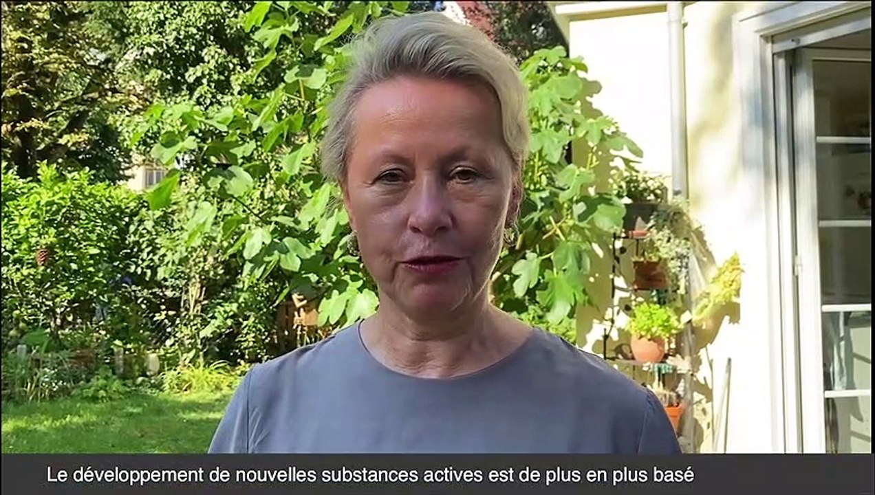 JCI Trinational - Be local, go trinational!