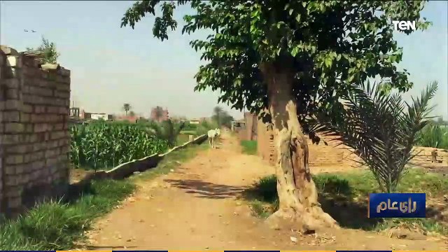 رأي عام | من الريف إلى المدن.. اتجاه واحد