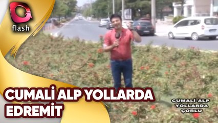 Cumali Alp Yollarda | Edremit