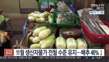 11월 생산자물가 전월 수준 유지…배추 46%↓
