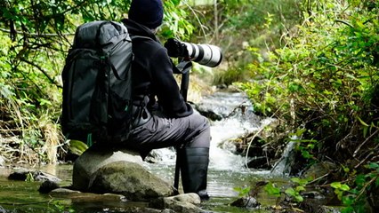 Tasmanian man fighting for survival of platypus