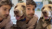 Este hombre habla con su perro y... ¡parece que se entienden!