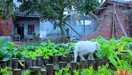 खुशी से भरा परिवार रात का भोजन, भाग्य और कल्याण से भरा साल आगे