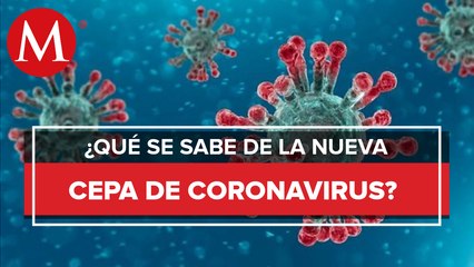 ¿Qué es lo que se sabe de la nueva cepa covid-19 y cómo lo retoma el sector medico en el mundo?
