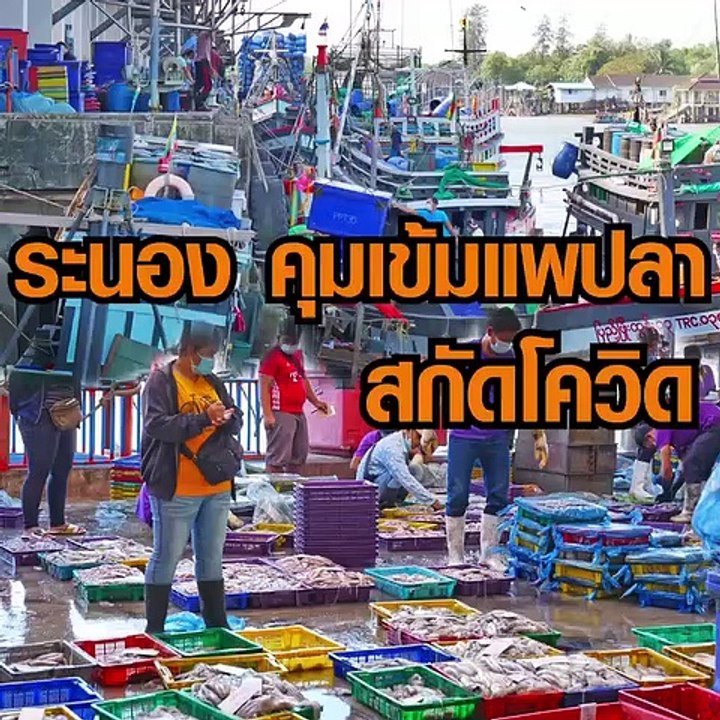 ระนอง คุมเข้มแพปลา สกัดโควิด