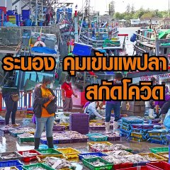 ระนอง คุมเข้มแพปลา สกัดโควิด