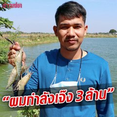 เกษตรกรเลี้ยงกุ้ง ที่กำลังจะเจ๊ง 3 ล้าน