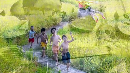 Cánh Đồng Quê Cha -Sáng tac Nguyễn Văn Thọ,Canh