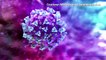 What we know about the new coronavirus strain